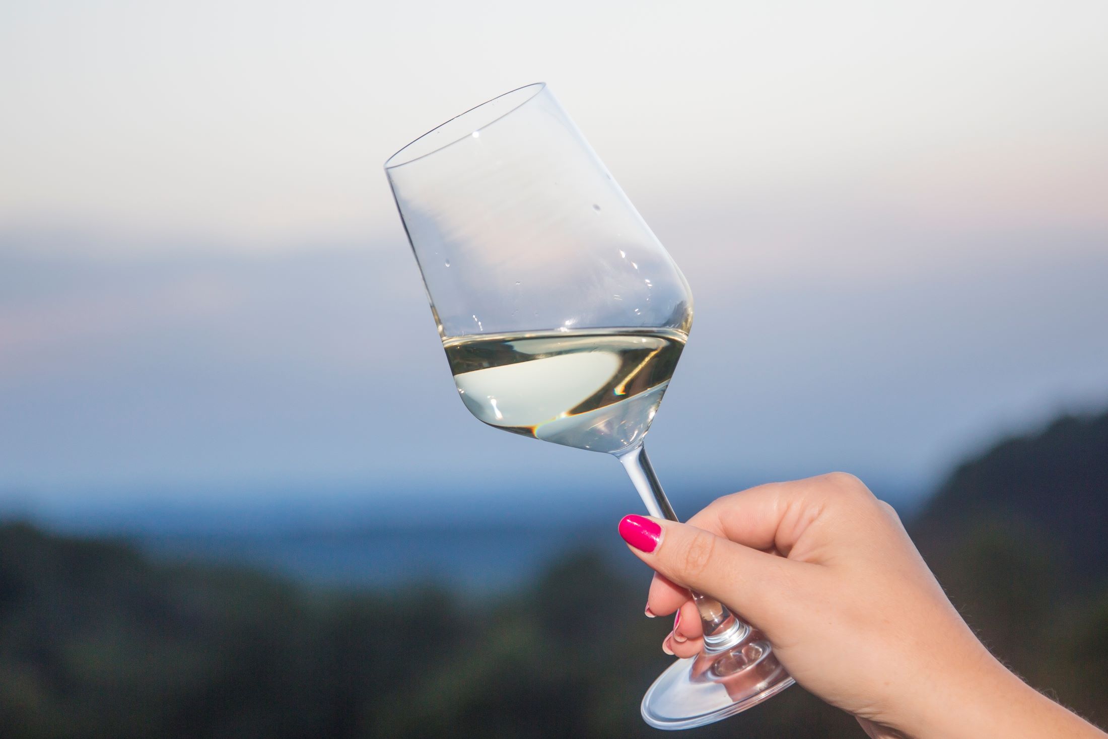 Gavi DOCG 2025: A Vintage of Balance, Resilience, and Forward Vision